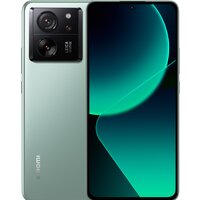 Xiaomi 13T Pro 12GB/256GB международная версия (зеленый луг)