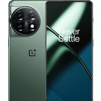 OnePlus 11 16GB/256GB китайская версия (зеленый)
