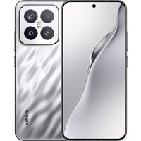 Xiaomi 15 12GB/256GB международная версия (серебристый)