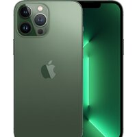 Apple iPhone 13 Pro Max 512GB (альпийский зеленый)