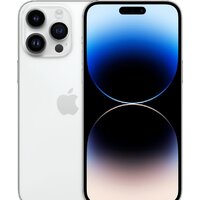 Apple iPhone 14 Pro Max 256GB (серебристый)