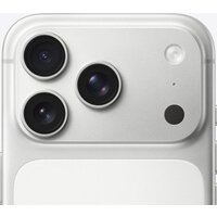 Apple iPhone 17 Pro Dual SIM 512GB (серебристый) Image #4