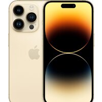 Apple iPhone 14 Pro 256GB (золотистый)